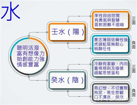 水型人帶木|【水型人帶木】水型人帶木！五行相生的隱藏特質，解析你的面相。